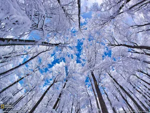 世界地理风光篇 第九辑_6