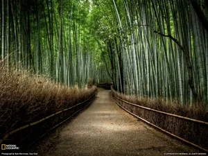 世界地理风光篇 第八辑_6