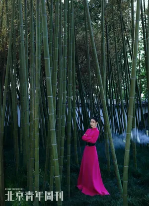 张碧晨古风侠女造型写真图片_5