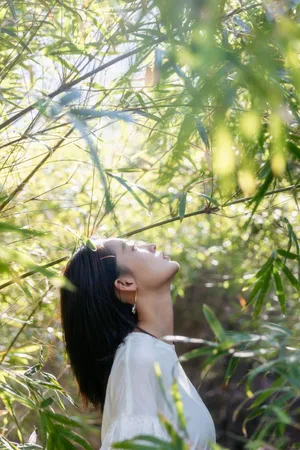 李沁清爽阳光竹林写真图片