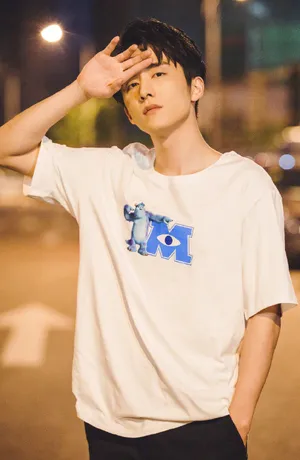 张新成清爽帅气夜拍图片