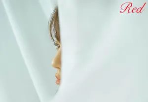 王晓晨优雅知性写真图片_2