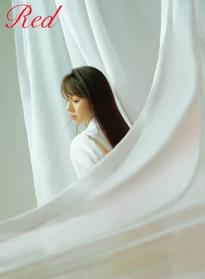 王晓晨优雅知性写真图片_4