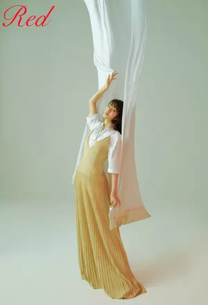王晓晨优雅知性写真图片_10