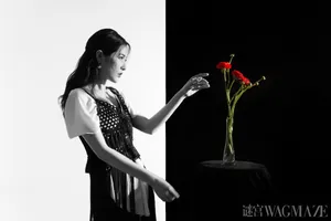 曾黎性感时尚写真图片_9