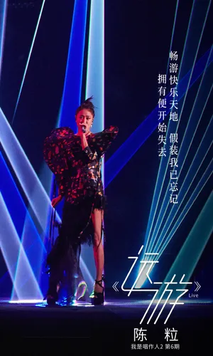 陈粒蝴蝶裙优雅舞台照图片_4