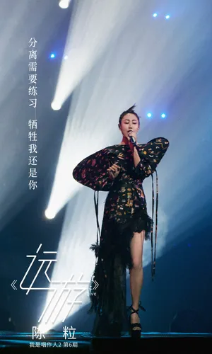 陈粒蝴蝶裙优雅舞台照图片_8