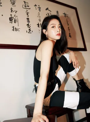 宋茜甜酷背心干练写真图片_5
