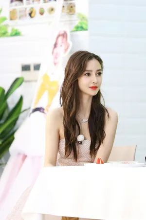 angelababy《奔跑吧》水钻长裙甜美图片_1