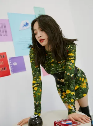 宋茜绿野仙踪造型写真图片_3