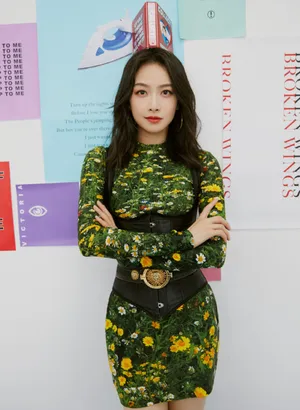 宋茜绿野仙踪造型写真图片_5