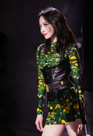 宋茜绿野仙踪造型靓丽舞台照图片_8
