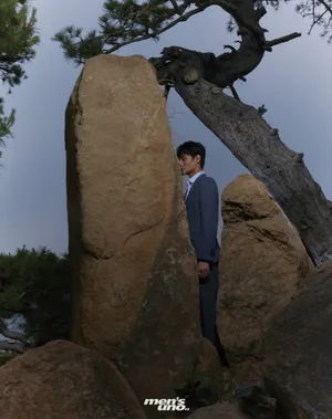 王凯松石意境封面写真图片_9