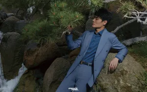 王凯松石意境封面写真图片_11