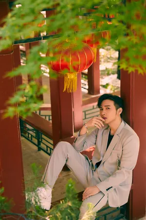 张彬彬灰色西装魅力写真图片