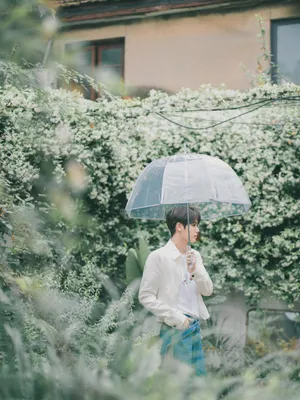 林彦俊伞下清爽写真图片_2