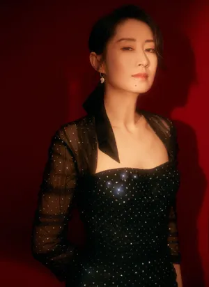 刘敏涛黑色小礼服气质写真图片_4