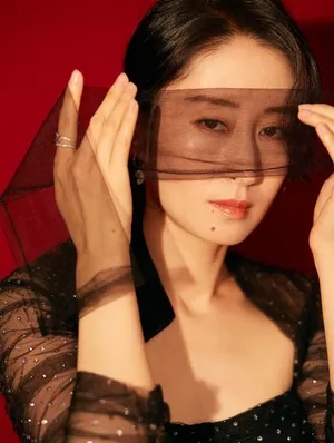 刘敏涛黑色小礼服气质写真图片_7