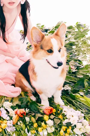 蒋梦婕最新时尚杂志写真大片_4
