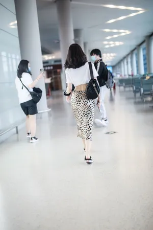李菲儿豹纹纱裙机场照图片_1