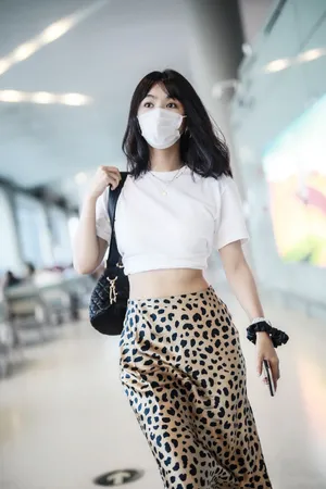李菲儿豹纹纱裙机场照图片_2