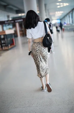 李菲儿豹纹纱裙机场照图片_4