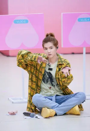 鹿晗格子衬衣帅气综艺图片_3