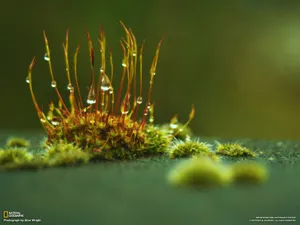 世界地理风光篇 第四辑_8