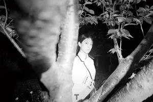 宋茜奇幻光影大片写真图片_3