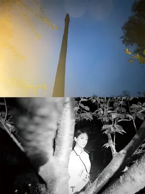 宋茜奇幻光影大片写真图片_8