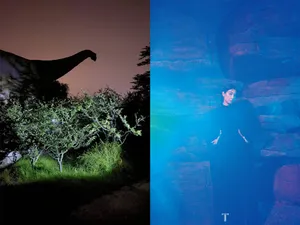 宋茜奇幻光影大片写真图片_15