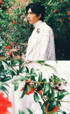 井柏然复古帅气花间写真图片_7