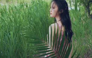 张慧雯清新优雅写真图片