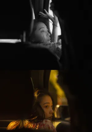 田依桐文艺风光影写真图片