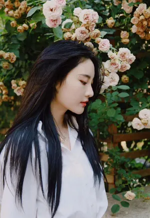 刘丁菡白衫清爽甜美写真图片_6