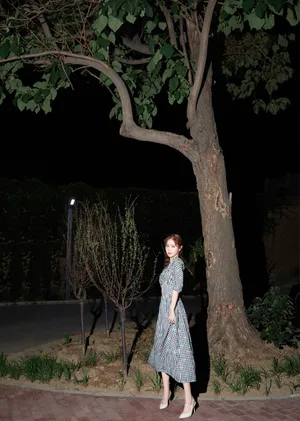 徐紫茵格纹裙夜景写真图片_5