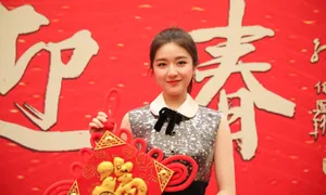 李兰迪高马尾时尚靓丽写真图片_4