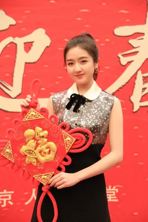 李兰迪高马尾时尚靓丽写真图片_5