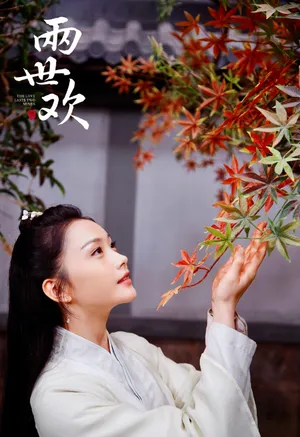 王嵛《两世欢》甜美剧照图片