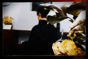 汪卓成胶片风帅气写真图片_5