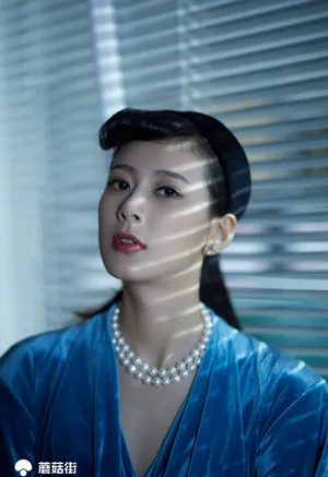 赵昭仪优雅时尚写真图片_4