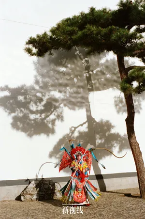 秦海璐春日优雅时尚写真图片_6