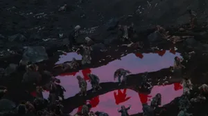 杜鹃黑天鹅时尚大片写真图片_9