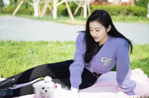 景甜紫毛衣甜美写真图片_5