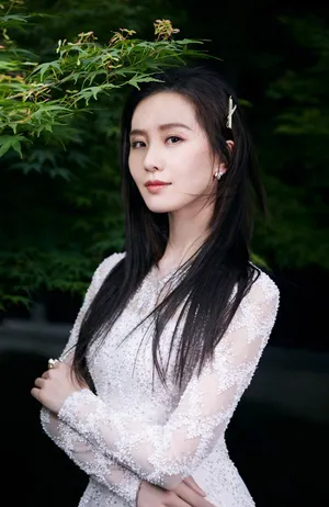 刘诗诗黑长直魅力写真图片_2