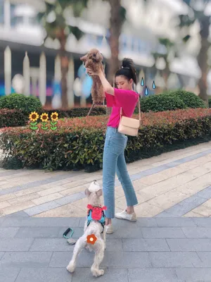 宋祖儿俏皮遛狗街拍照图片