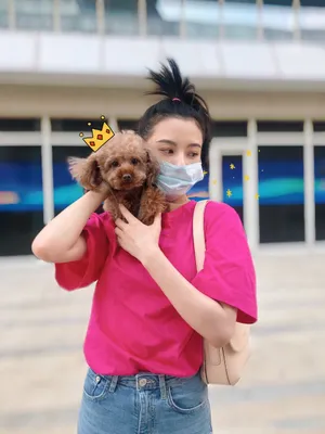 宋祖儿俏皮遛狗街拍照图片