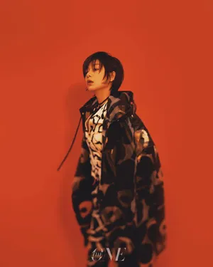 王真儿优雅复古写真图片_2