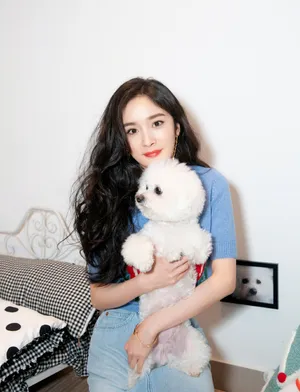 杨幂休闲风性感写真图片