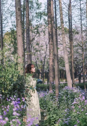 李艺彤花海甜美写真图片_7